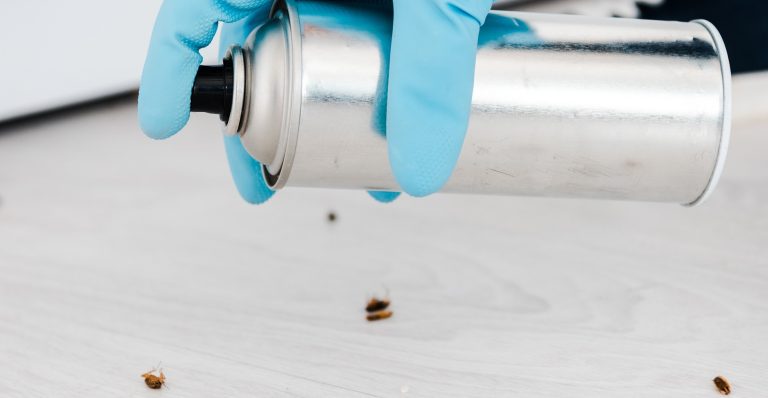 como limpiear para ahuyentar cucarachas